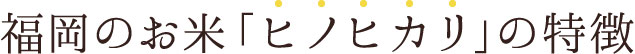 福岡のお米「ヒノヒカリ」の特徴